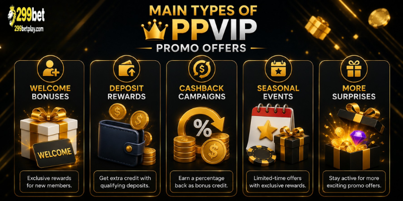 Main Types of PPVIP Promo Offers